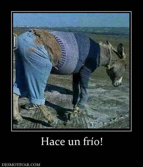 Que frio humor